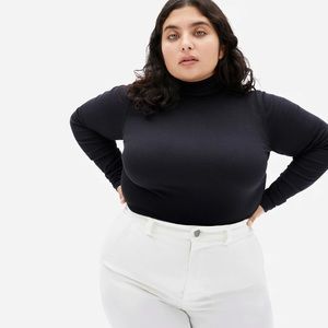Everlane Pima Cotton Micro Rib Turtle Neck